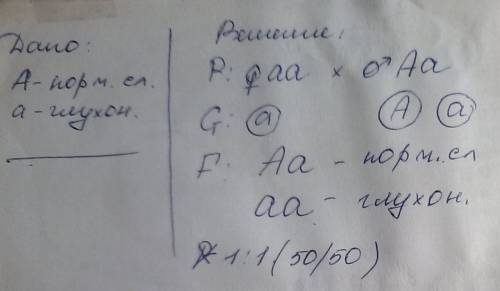 Учеловека ген врожденной глухонемоты рецессивен по отношению к гену нормального слуха.от брака глухо