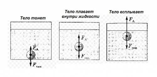 Изобразите графически силы, тяжести действующие на тело, плавающее в воде, всплывающее на поверхност
