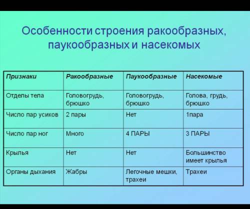 Рассуждать и обсуждать класс ракообразных и паукообразных.