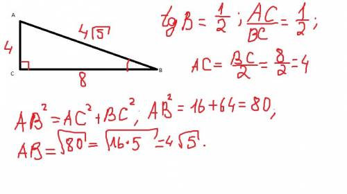 Впрямоугольном треугольнике катет равен 8 сантиметров, а тангенс прилежащего угла равен 1/2, найти в