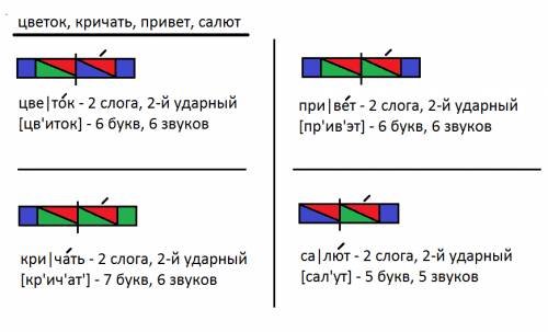 Модель слова цветок ,кричать ,.салют