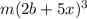 m(2b+5x)^3