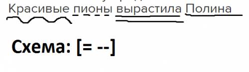 Составить схему предложения: красивые пионы вырастила полина