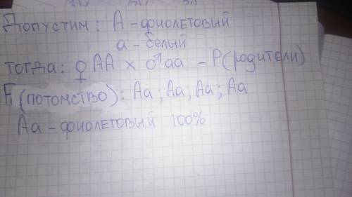 При скрещивании двух цветков петунии (белый и фиолетовый),получились цветы с синими цветками.написат