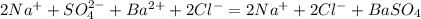 2Na^++SO_4^{2-}+Ba^{2+}+2Cl^-=2Na^++2Cl^-+BaSO_4