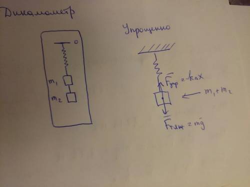 Кдинамометру подвешены два груза,массой 1кг и 200г. чему равно показание динамометра(12н,сама посчит