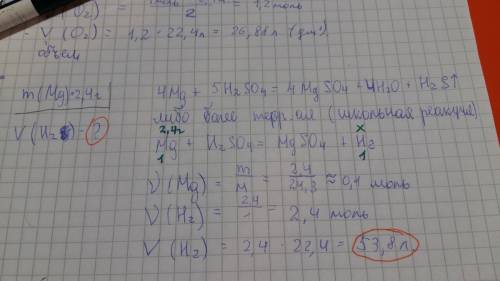 Яркий об'єм газу(н.у.) виділитися при взаємлдії 2,4г магнію з сульфатною кислотою