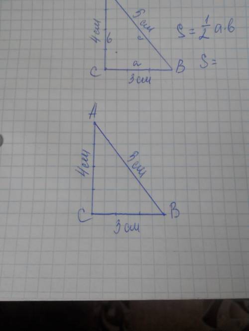 5класс. начерти прямоугольный треугольник,измерь нужные стороны и найди его площадь