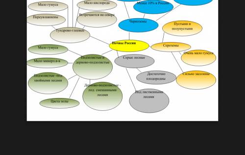 Кластер по почва россии по окружающему