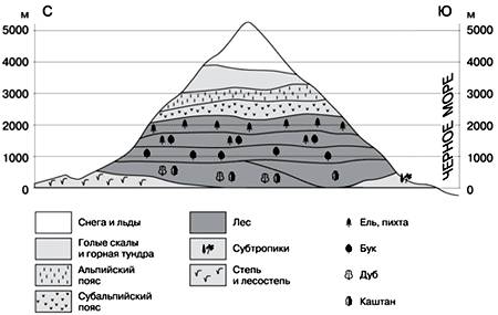 Какие высотные пояса выделяются в горах кавказа , 17