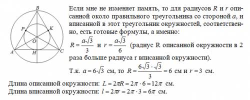 Стороны правильного треугольника равны 6√3см. вычислитедлину окружности : а) описанной около этого т