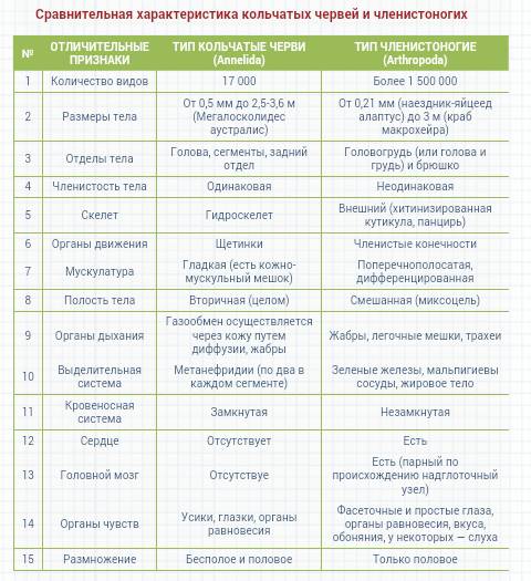 Сравнительная харакеристика кольчатых червей и ракообразных