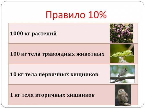 Народ, кто в биологии сечет? зачет, горю. кому не влом дайте ответы на следующие вопросы. 1) что наз