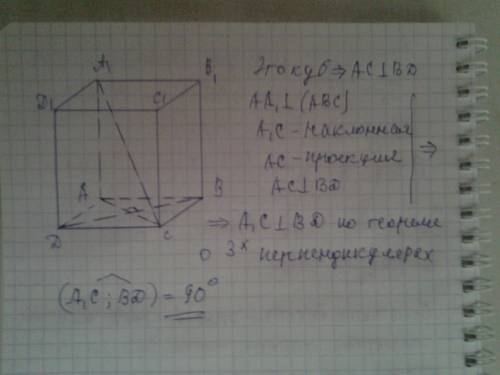 Дан куб abcda1b1c1d1. найдите угол между прямыми a1c и bd