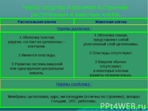 Постройте сравнительную таблицу, отображающую сходство и различия в строение клеток бактерии, растен