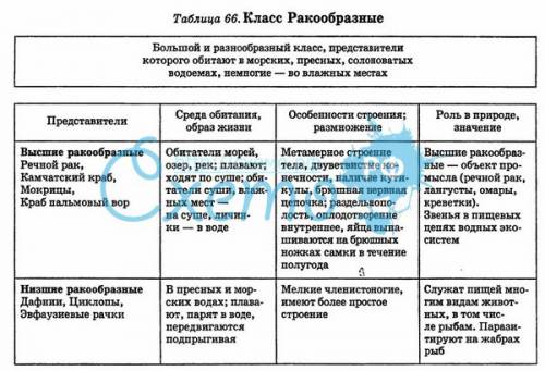 Заполните таблицу класс ракообразные.