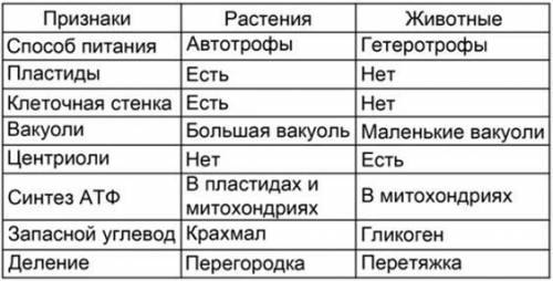 Назовите черты сходства в строении животных - обитателей почвы.