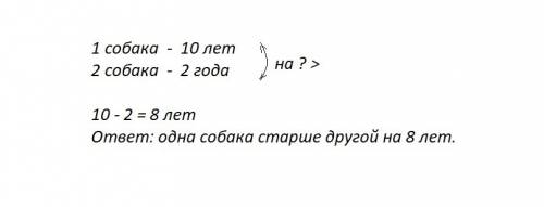 Угали две собаки: одной 10лет,а другой 2 года.узнай,на сколько лет одна из них старше другой? мы рос