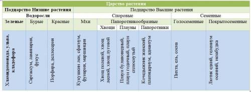 Какие крупные группы выделяют в царстве растений ? составьте таблицу группы растений и их конкретны