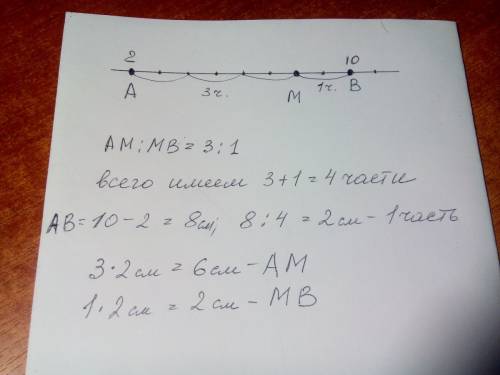 Решить! и объясните! на прямой между точками а(2) и в(10) отсечена точка м. найти координату точки м