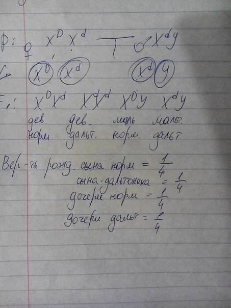 Учеловека цветовая слепота обусловлена рецессивным геном (d) , локализованным в x хромосоме , а норм