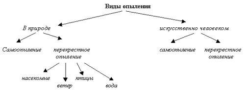 Ura.ru охарактеризуйте опыления