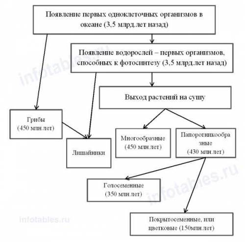 Составьте схему основные этапы в развитии растительного мира