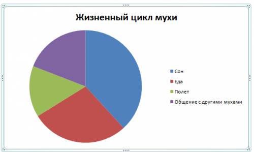 Построить диаграмму жизненного цикла мухи