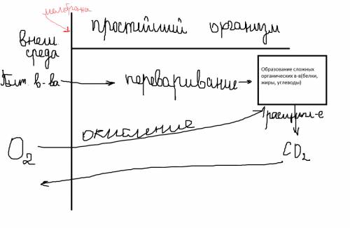 Транспорт веществ у животных (желательно со схемой)