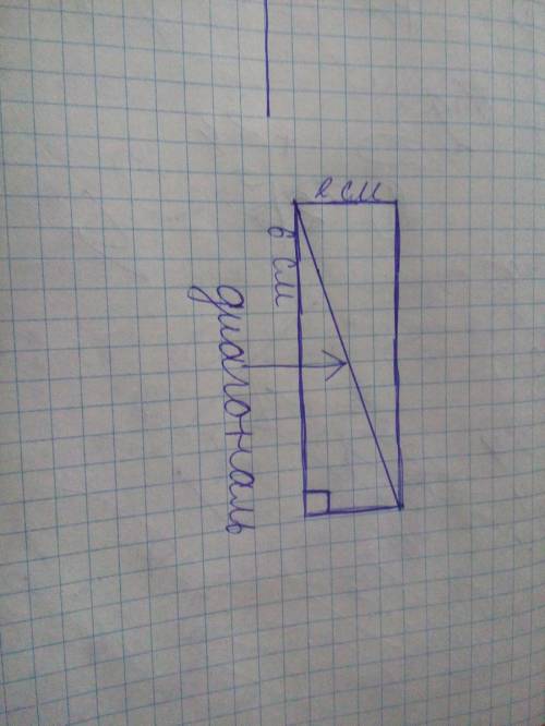 Начерти в тетради прямоугольник с длинами 2 см и 6 см проведи его по диагонали