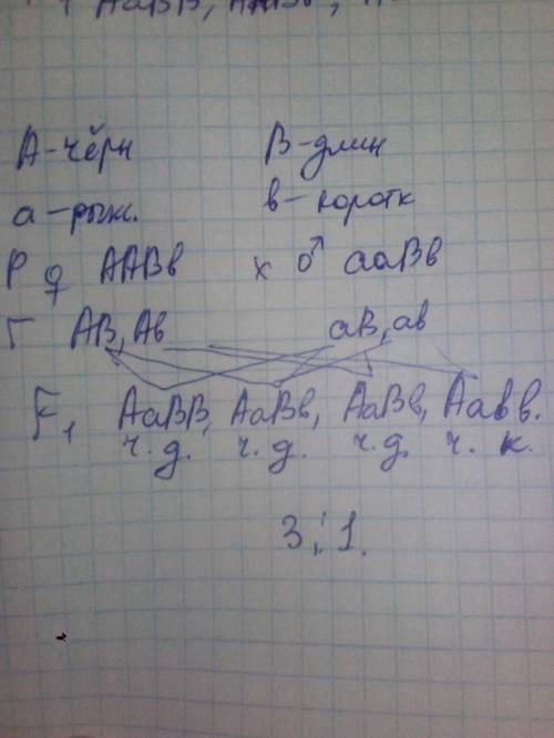 Усвиней черная окраска щетины доминирует над рыжей, а длинная щетина – над короткой. определите форм