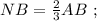 NB = \frac{2}{3} AB \ ;