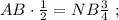 AB \cdot \frac{1}{2} = NB \frac{3}{4} \ ;