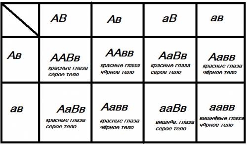 Скрестили красноглазую серую дрозофилу, гетерозиготную по двум аллелям, с красноглазой чёрной дрозоф