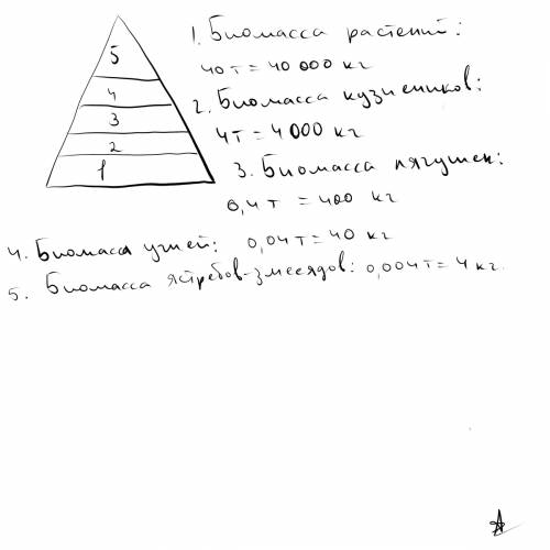 Постройте пирамиду биомассы следующей пищевой цепи: растения → кузнечики → лягушки → ужи → ястреб-зм