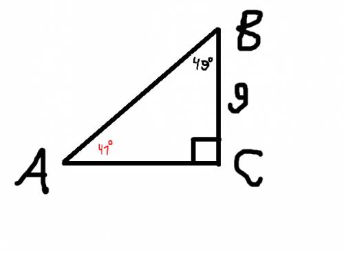 23 . нужно! в прямоугольном треугольнике abc угол c=90 угол b=49 bc=9 см. найдите длинну ас.