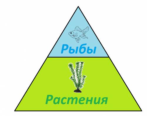 Изобразить экологическую пирамиду аквариума