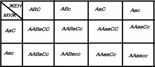 )) надо)) заранее )) скрещение генотипов: aabbcc; aabbcc