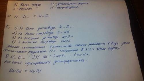 Уфигурной тыквы белая окраска плодов (w) доминирует над желтой (w), а дисковидная форма плодов (d) н