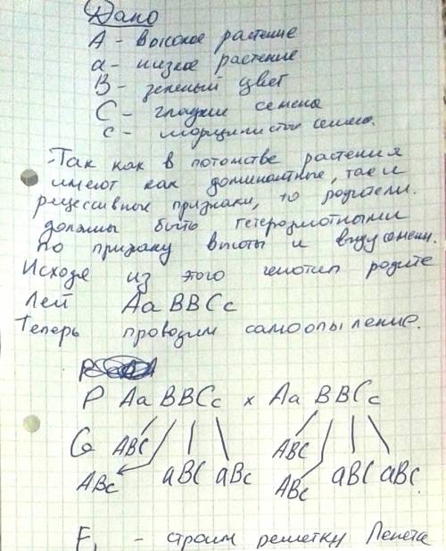 Дано и решение, желательно на листке! из семян полученных от самоопыления высокого растения с зелены