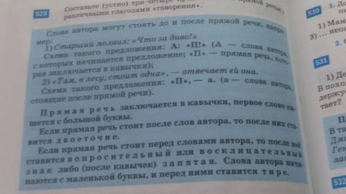 Как разбирается прямая речь в предложении