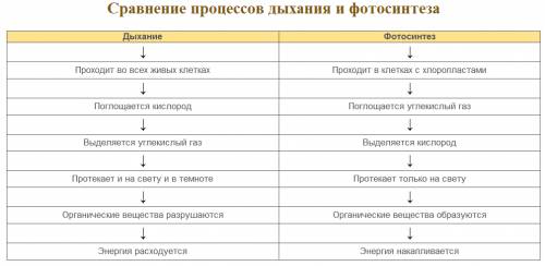 Таблица по биологии 6 класс фотосинтез и дыхание