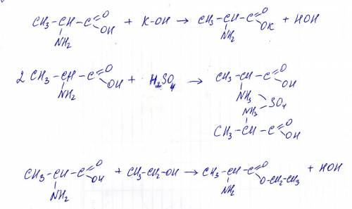 Составьте уравнение реакций 2-аминопропионовой кислоты: а) с гидроксидом калия ; б) с серной кислото