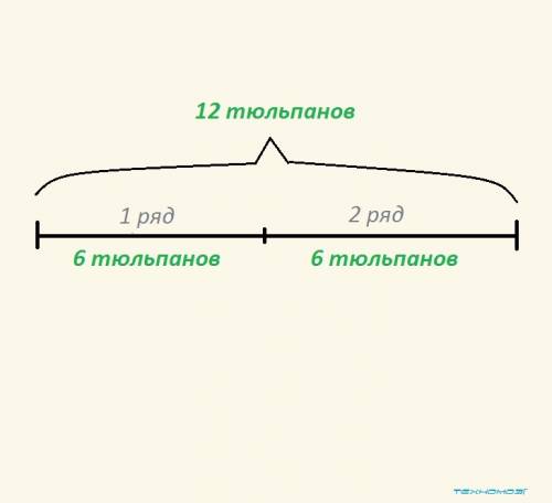 Посадили 12 тюльпанов,по 6 тюльпанов в каждом ряду.сколько получилось рядов тюльпанов? как сделать с