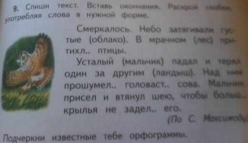 Спиши текст вставь окончания раскрой скобки употребляя слова в нужной форме подчеркни известные тебе