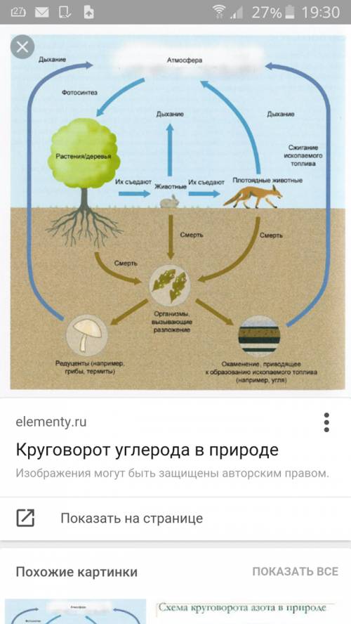 Подайте идею,нужно написать какой -нибудь цикл или процесс,кроме процесса круговорота воды в природе