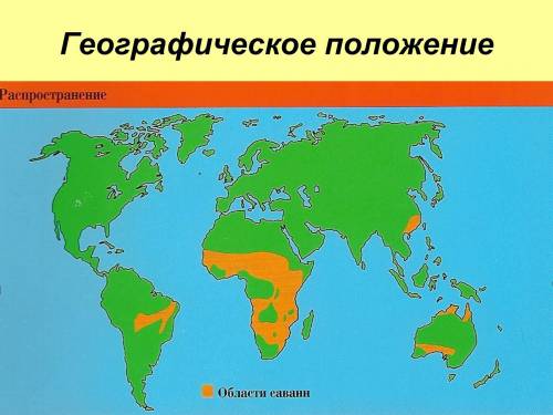 Наиболее богат и разнообразен животный мир саванн: 1)африки 2)евразии 3)австралии 4)южной америки