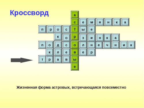 Загадки и кроссворды на тему семейство астровые найдите в интернете или придумайте сами. кто первы