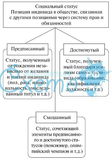 Опишите свой социальный статус. какие социальные роли вы исполняете?