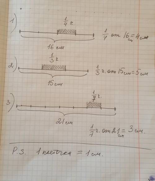 Нарисуй отрезок закрась вычисли длиной 16 см четверть отрезка длину четверти отрезка длиной 15 см тр